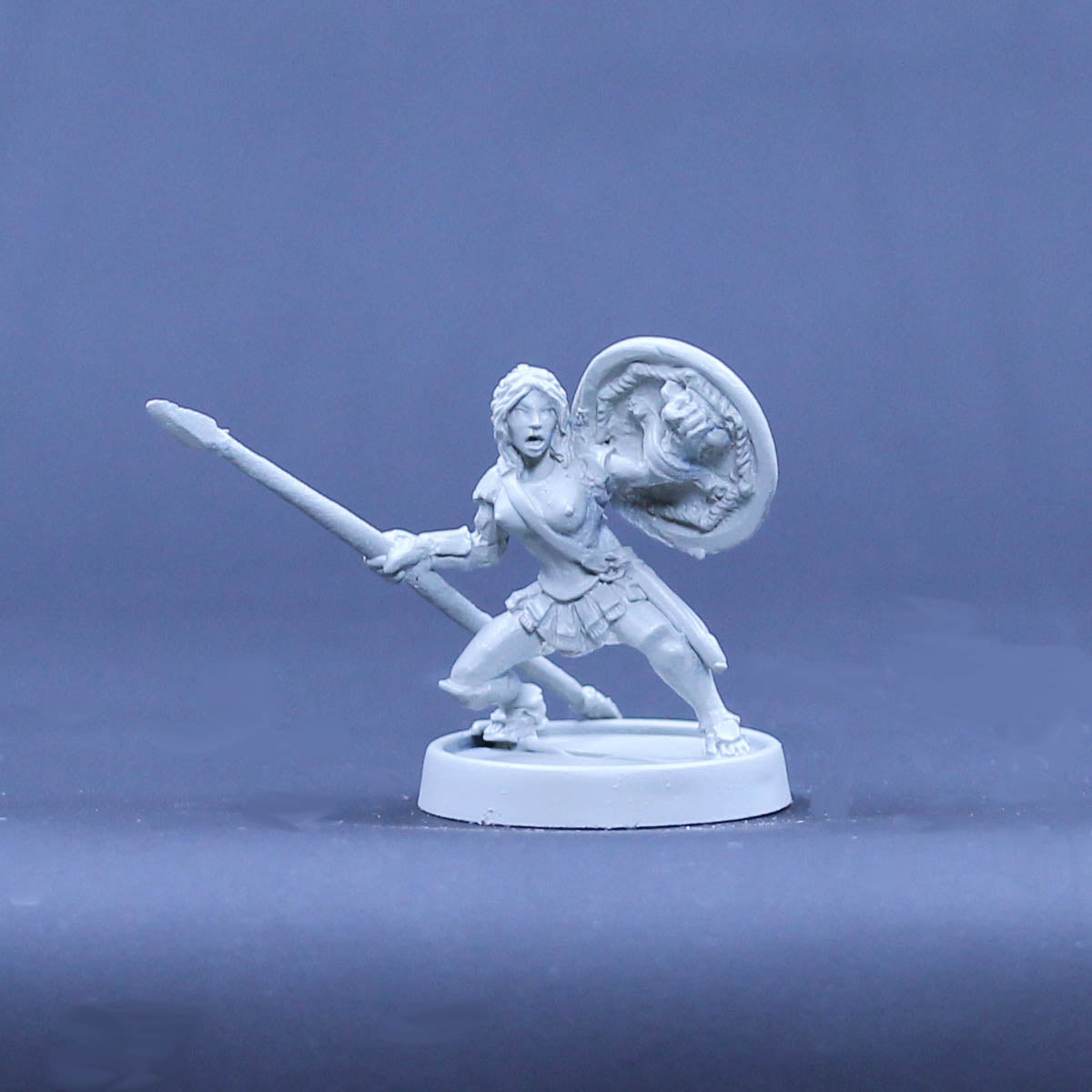 Amazon Adventurer with spear and shield defending