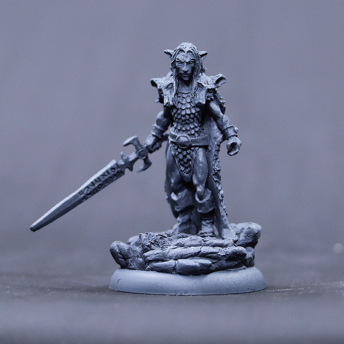 Male Grey Elf Wolf Lord with rune sword