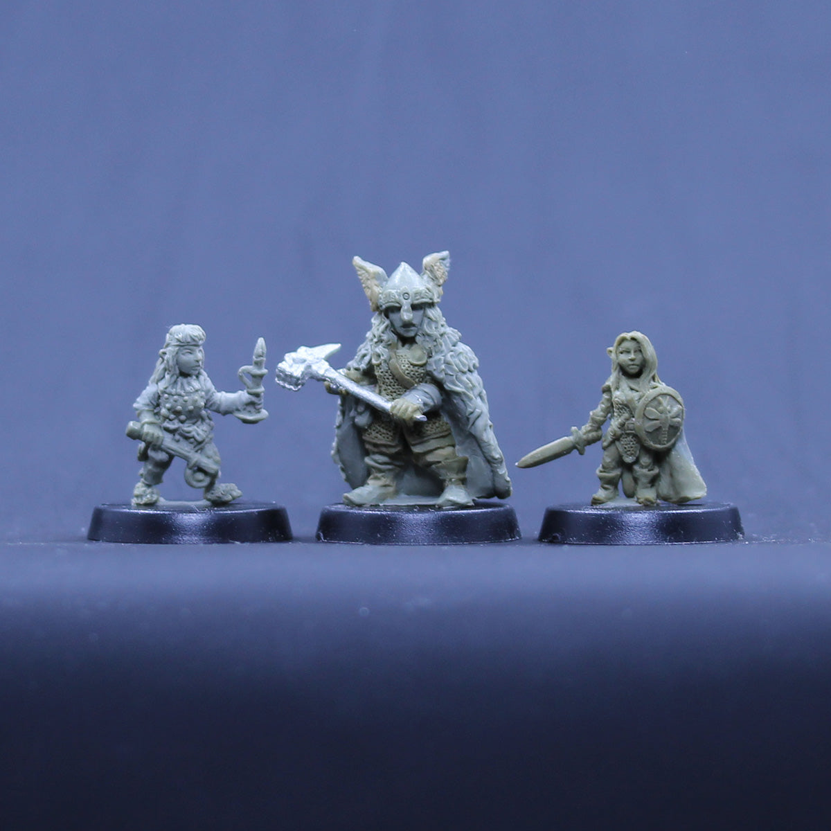 Halfling Thief, Dwarf Cleric, Gnome Fighter