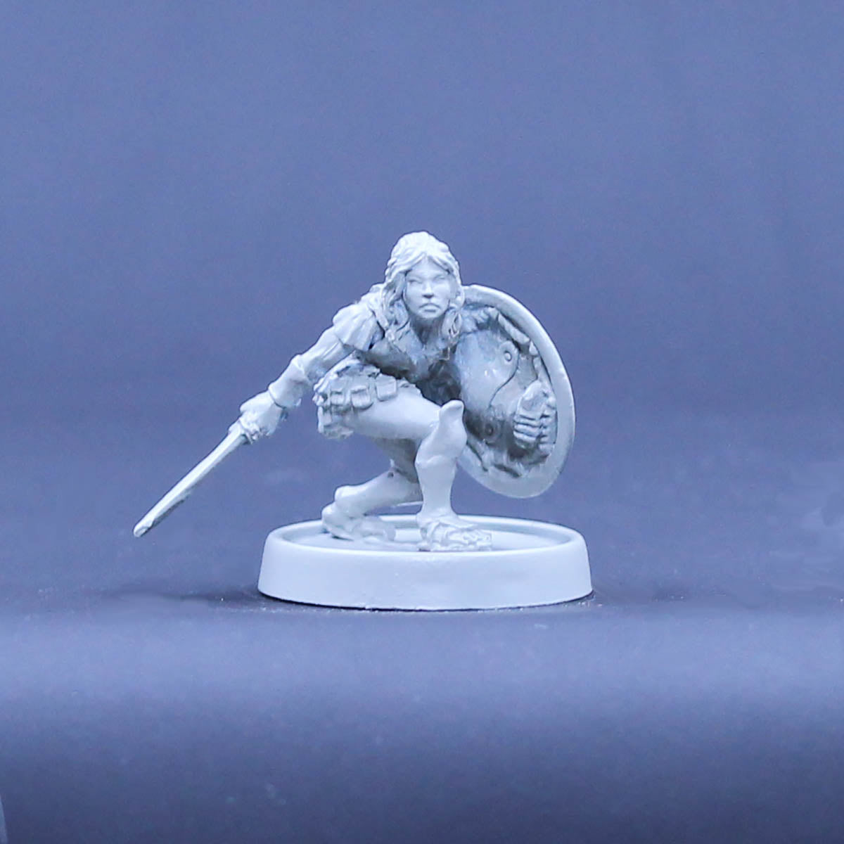 Amazon Adventurer crouched with sword and shield