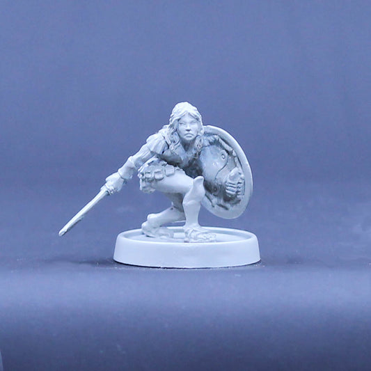 Amazon Adventurer crouched with sword and shield