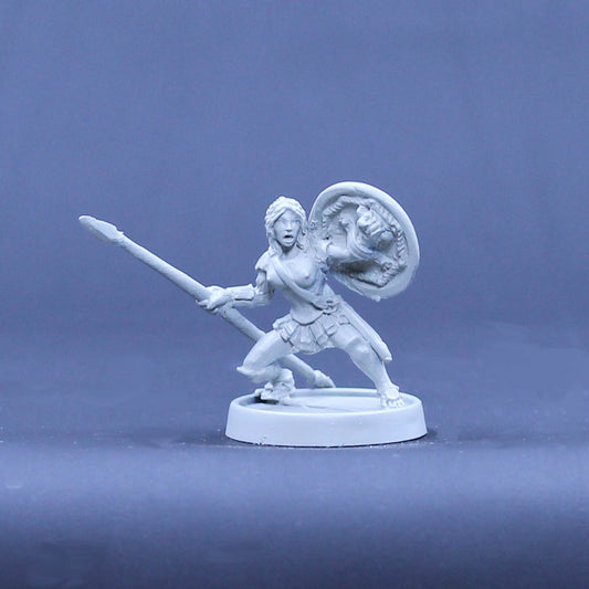 Amazon Adventurer with spear and shield defending