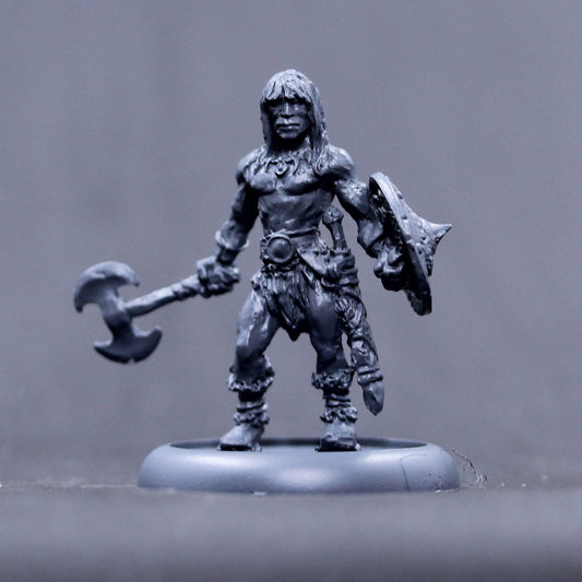 Barbarian Hero