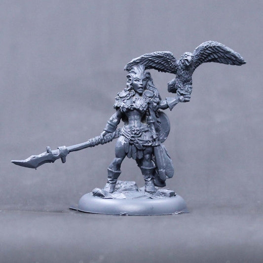 Christine , barbarian falconer