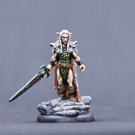 Male Grey Elf Wolf Lord with rune sword