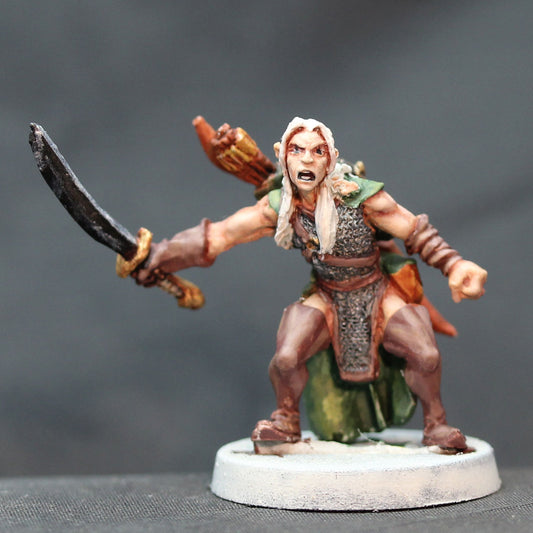 Elf male adventurer ready with long sword