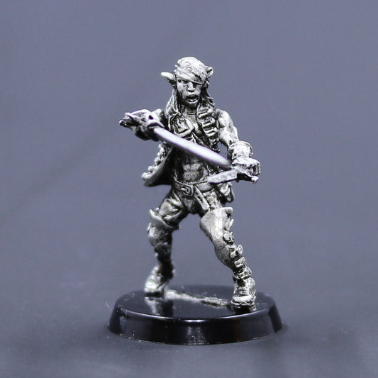 Elf male buccaneer ready with rapier and dagger