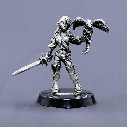 Elf female buccaneer with dwarf gryphon and rapier