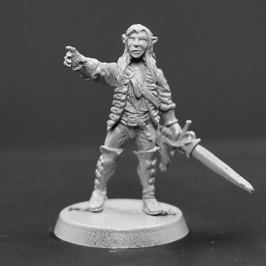 Elf male buccaneer with rapier