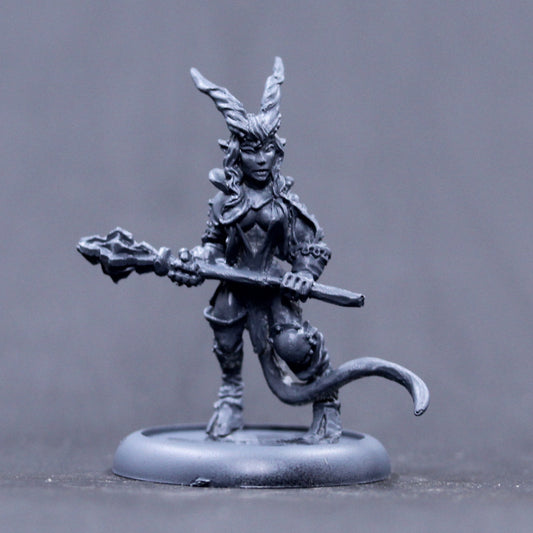 Tiefling Cleric/ paladin