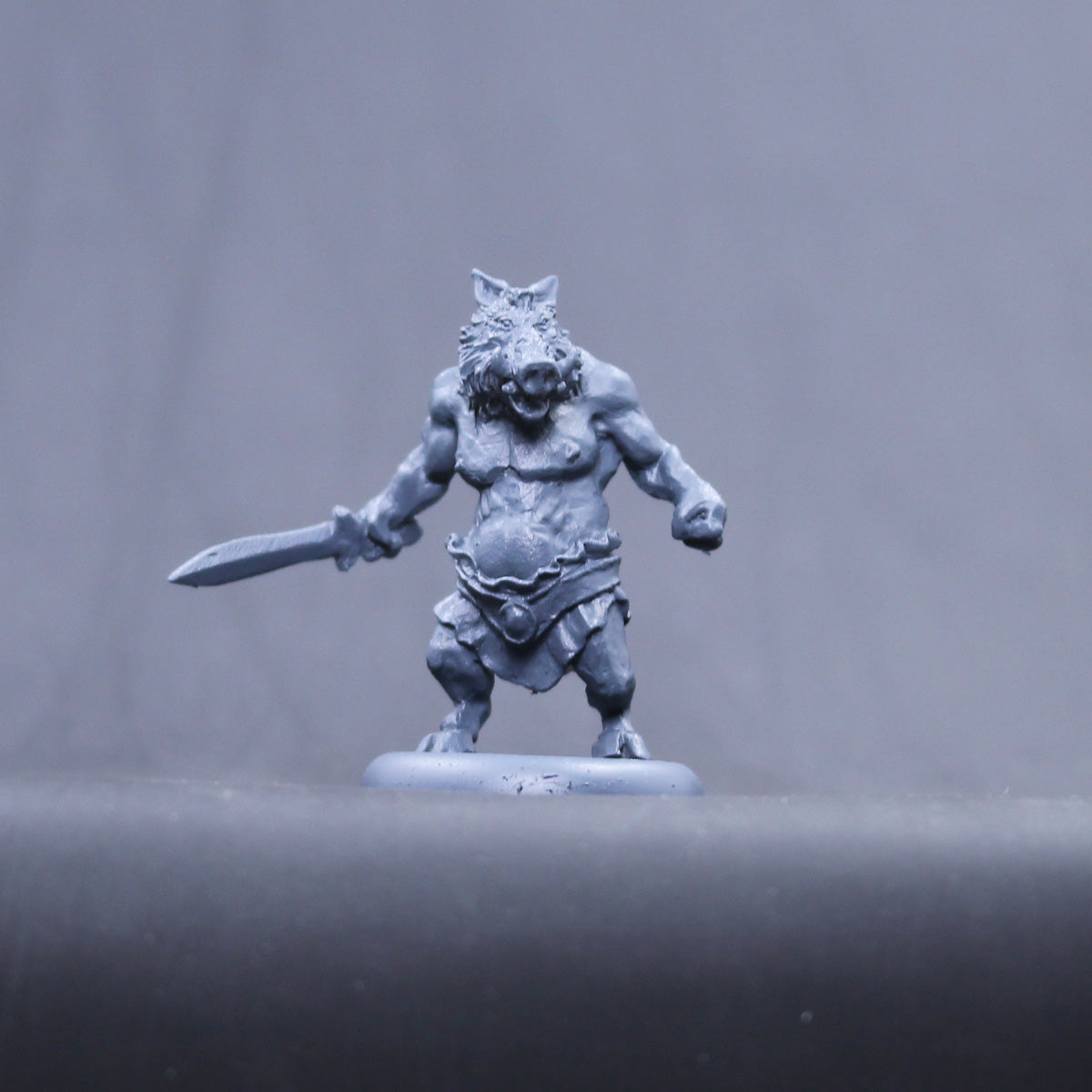 Circie children Pig ogre