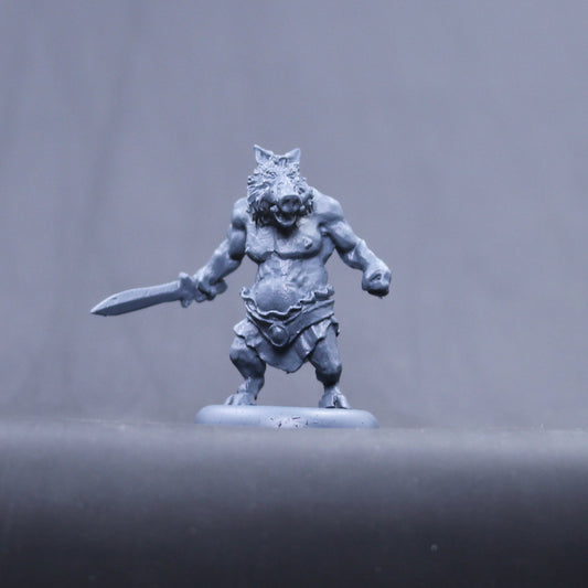 Circie children Pig ogre