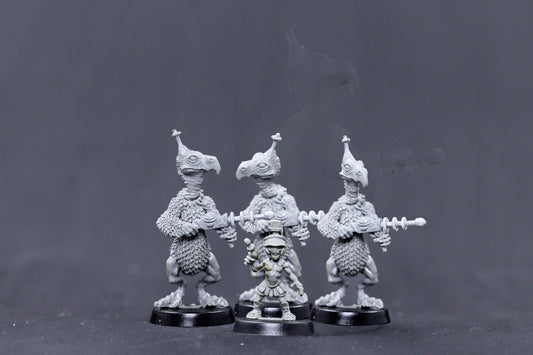 Gary the Grey and minions