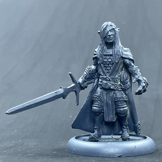 Grey Elf Lord wounded with Demon gauntlet