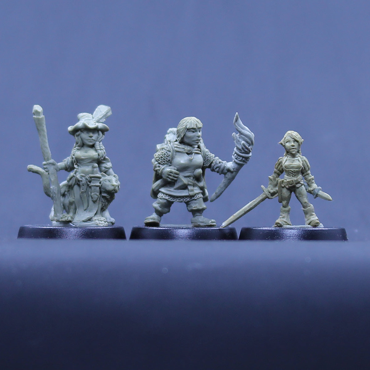 Halfling Witch, Dwarf Ranger, Gnome Thief