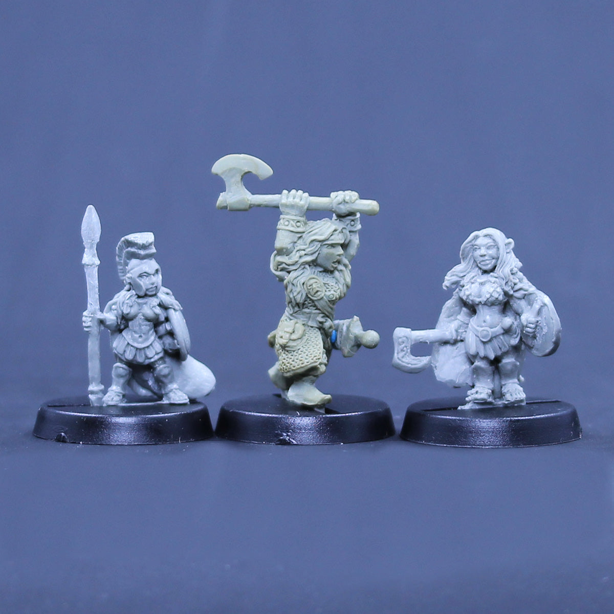 Gnome Amazon, Dwarf Fighter, Halfling Barbarian