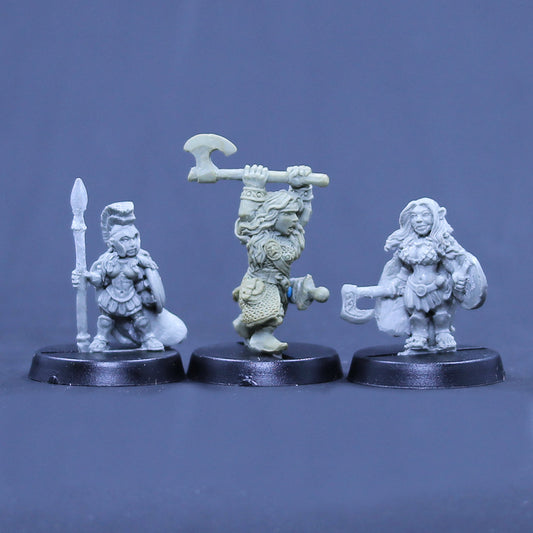 Gnome Amazon, Dwarf Fighter, Halfling Barbarian